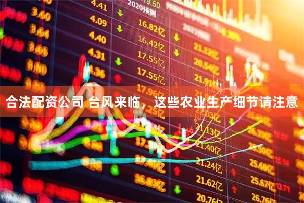 合法配资公司 台风来临，这些农业生产细节请注意